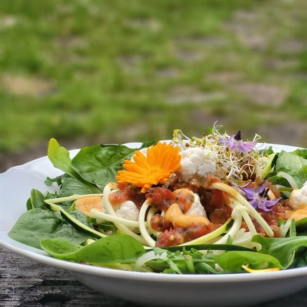 Rålunch med grönsaker, groddar och ätbara blommor